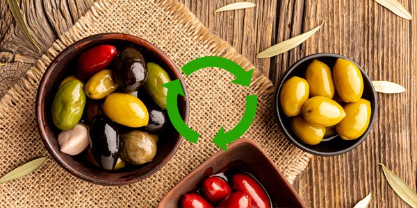 Ecology and Sustainability